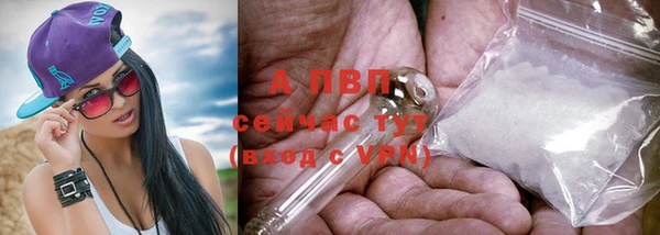 твердый Аркадак