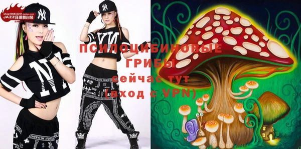 твердый Аркадак
