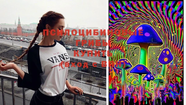 твердый Аркадак