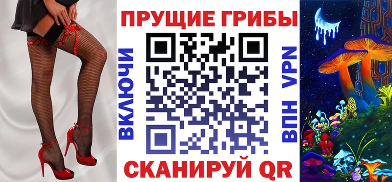 Псилоцибиновые грибы Psilocybe  это официальный сайт  Медвежьегорск 